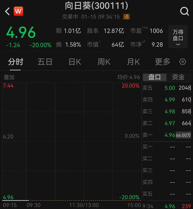 V觀財報｜向日葵開盤“20cm”跌停 遭立案調查終止重組 - 
