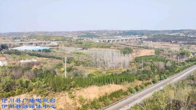 伊川：大風雨雪來襲…… - 