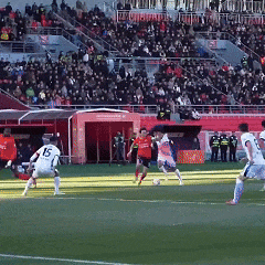 全網刷屏！全國人大代表的“東北嗑”，小編來給你“中譯中”→