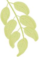 【科普】識別防控手足口病，幫孩子少遭罪 - 