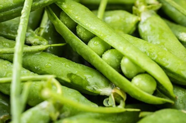 天然“爆爆珠”，口感甜、嫩、脆，還能養脾化濕 - 