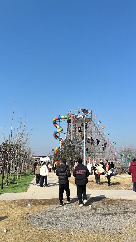 新春走基層·駐外記者回鄉手記丨從中東到豫東 和平安寧何其珍貴 - 