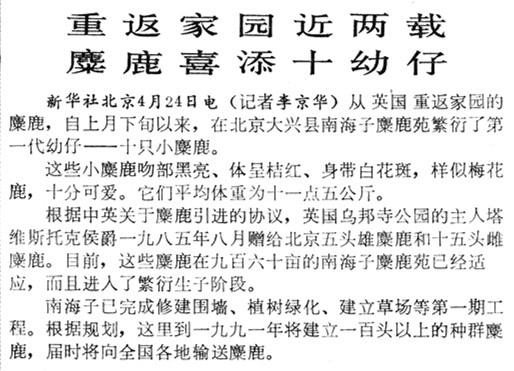 溫故丨呦呦鹿鳴響徹南海子，背後是一段從絕跡到重生的傳奇 - 