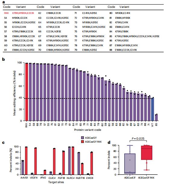 Nat.Struct.Mol.Biol.|Cas12f直系同源物的比較表徵揭示了提升基因組編輯效率的核心機制特徵 - 