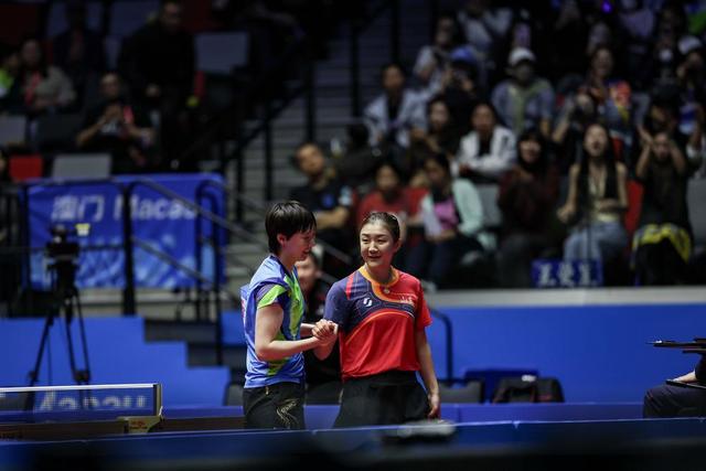 樊振東林詩棟頂峰相見，孫穎莎王曼昱再度對決 - 