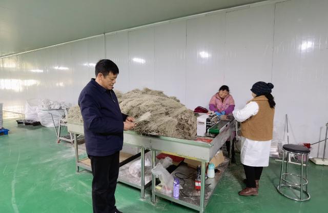 履職這一年丨劉井粉絲“破圈”記 - 