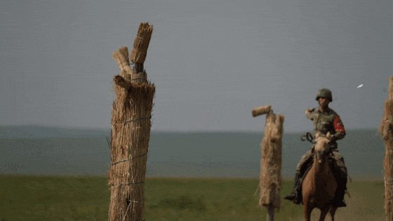 嘿，你知道軍馬怎麼敬軍禮嗎？ - 