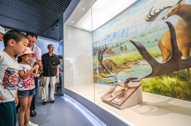 溫故丨呦呦鹿鳴響徹南海子，背後是一段從絕跡到重生的傳奇 - 