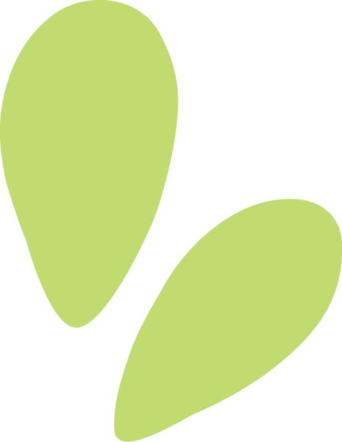 商法信息快報（2025.11.5） - 