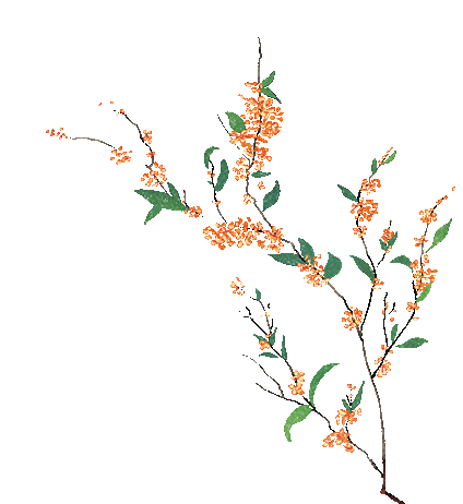 2025年桂平市中小學生漢字聽寫大賽總決賽（初中組）圓滿落幕！