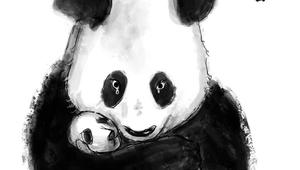 我们是否丢了保护熊猫的初心，我为旅美的熊猫发声