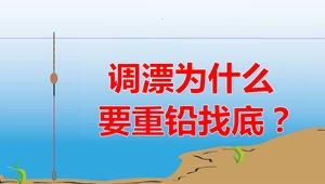 野钓调漂不用找底？一块铅皮能让渔获翻倍，这套技巧谁用谁知道