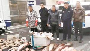 该抓！一群男子在武汉东荆河锚鱼，仅用三小时获得60公斤渔获