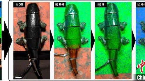 国际最新研究：仿变色龙软体机器人可根据背景实时变色