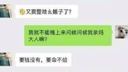 搞笑段子：丈母娘一开门就骂“死鬼，田快被你家牛吃完了