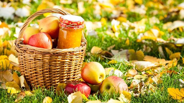 秋季养生吃什么好，饮食小常识帮助你养生