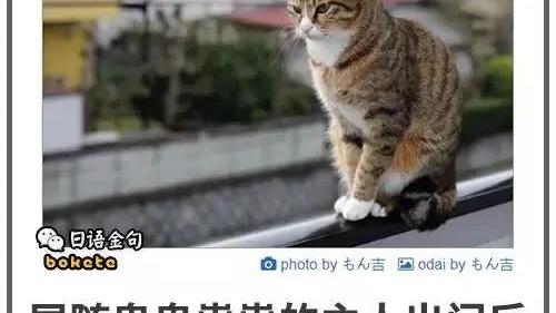 夜深了，说说心里话
婆媳总是不好相处的，前不久跟婆婆矛盾摆上台面，好在老公向