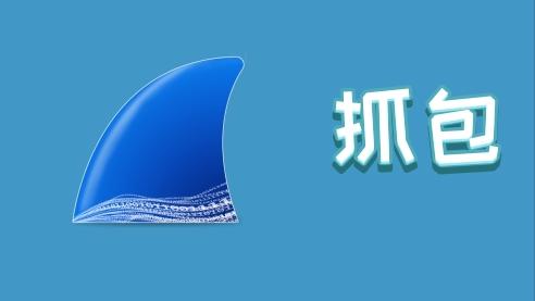 同为抓包工具，Wireshark与Fiddler应该怎么选择？