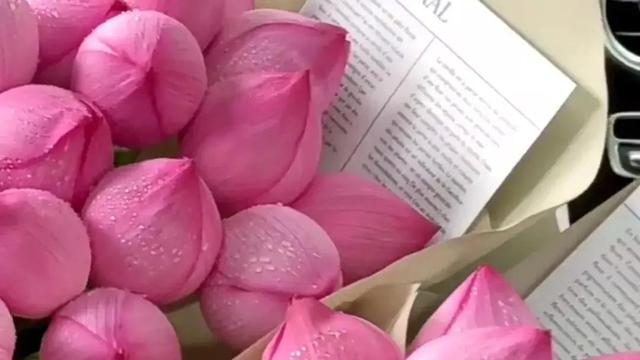 相由心生，为什么有的人越老越好看