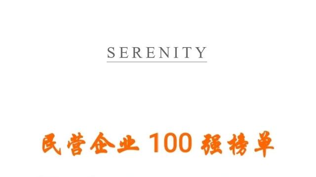 榜单Top100：中国民营企业
