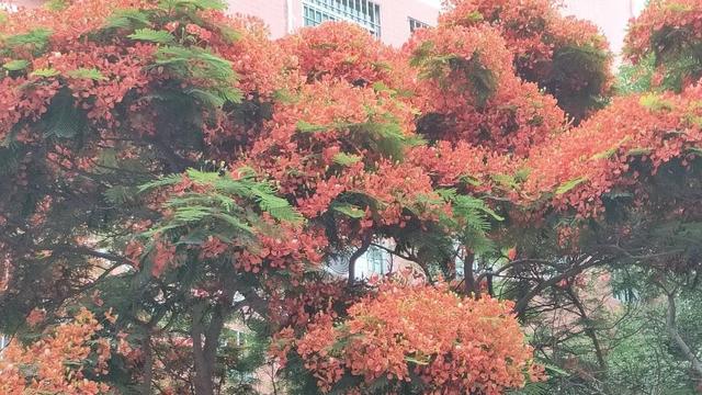 厌倦这样，怎么办？