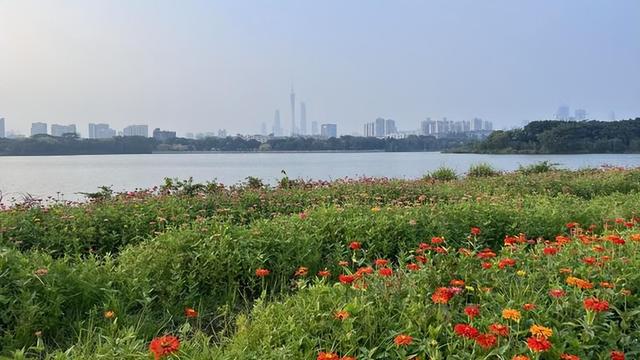 广州人到底怎么花钱？可以买“贵东西”，但不可以买“贵的东西”