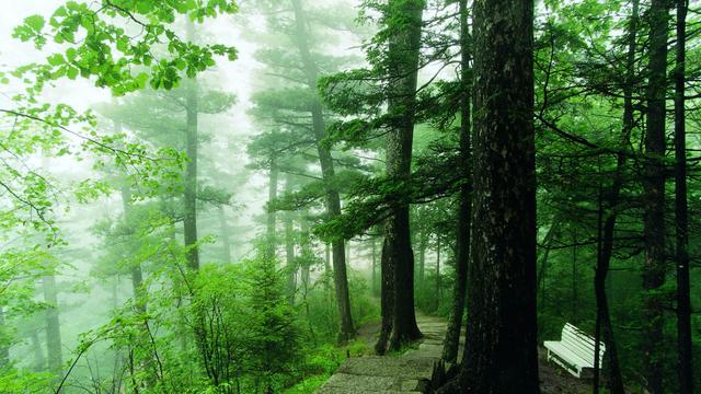进山拍风景，打卡必备！黑龙江46个森林旅游目的地等你来挑战！
