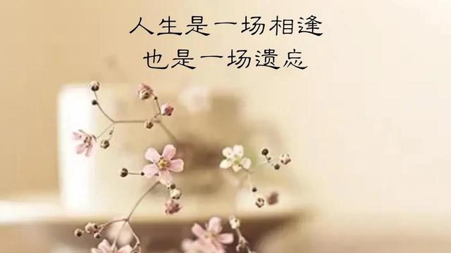 该忘的忘，该放的放。