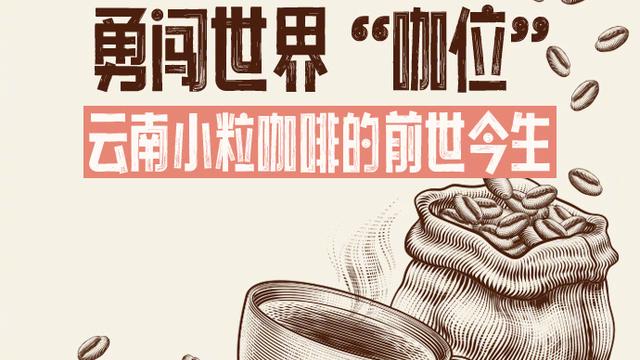 勇闯世界“咖位”！云南小粒咖啡的前世今生