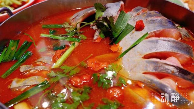 贵贵的减肥“天菜”
