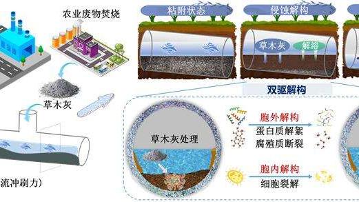 我国团队研发技术助力解决城市污水管道淤积难题