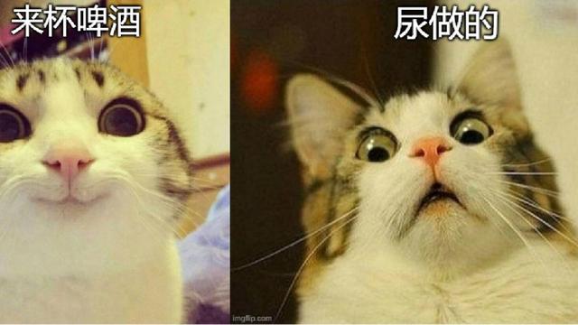 他们用污水和尿做啤酒，还有人把啤酒糟做成了小背包？