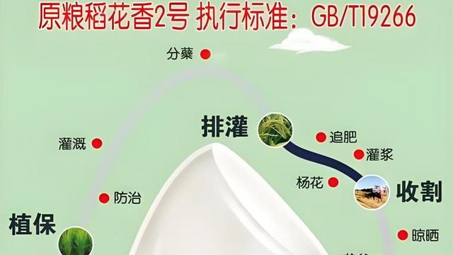 揭秘：餐桌上的 “五常大米”，真身究竟在哪？“稻花派对” 死磕溯源真相！~