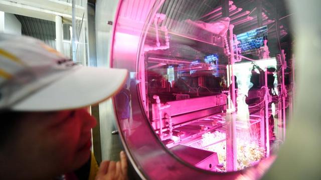 中国航天日 在北航“月宫一号”看月壤种菜