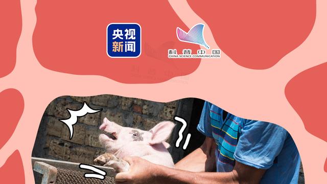 事关健康，千万别吃！
