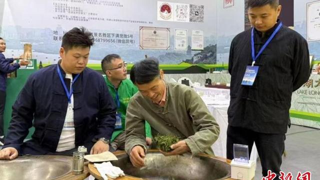 茶人葛维冬：在不变匠心中看龙井新变