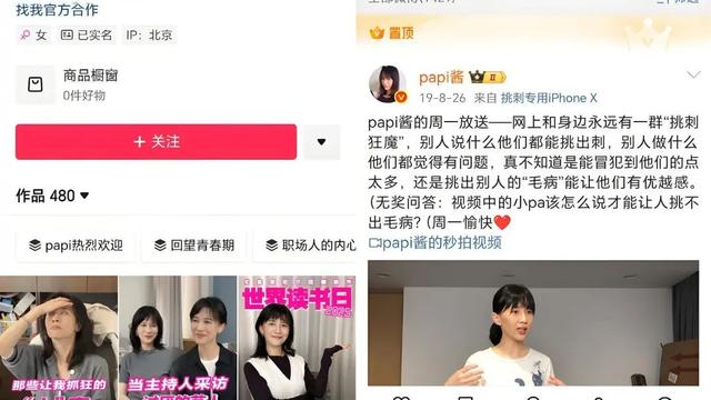 papi酱：一个中溜子的胜利