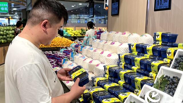 桑葚“甜蜜来袭” 尝鲜正当时