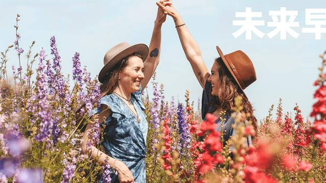 早报｜新西兰拟禁止 16 岁以下青少年用社交媒体/Android 新设计语言