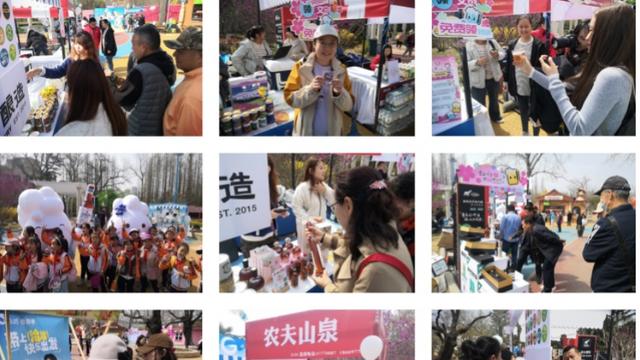 2025青岛四季精酿啤酒节·春季限定场成功举办，樱花与精酿共酿春日盛宴