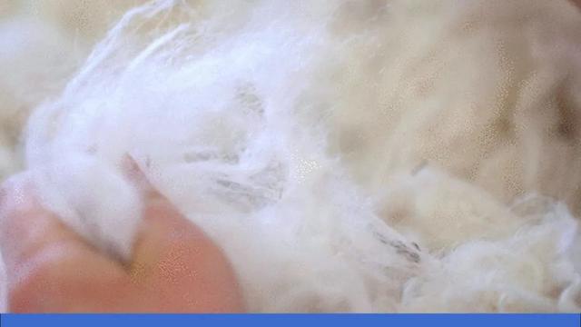 生日薅羊毛，一代人有一代人的鸡蛋要领