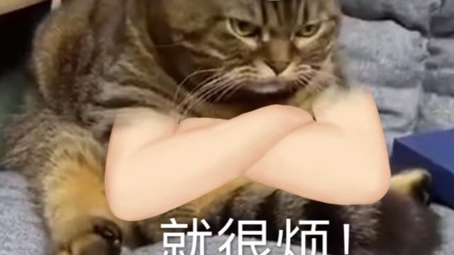 一个能让黑头自己爬出来，还不伤毛孔的小东西，很多人竟然不知道