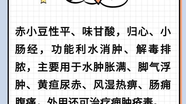 四月豆，胜过肉！一生津，二健脾，三益气，每吃一口都是赚到~