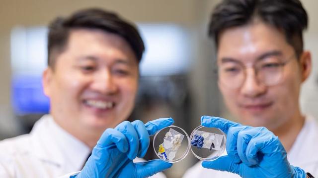 港理大新研究揭示塑料废物潜藏微生物群落可引发生态危机