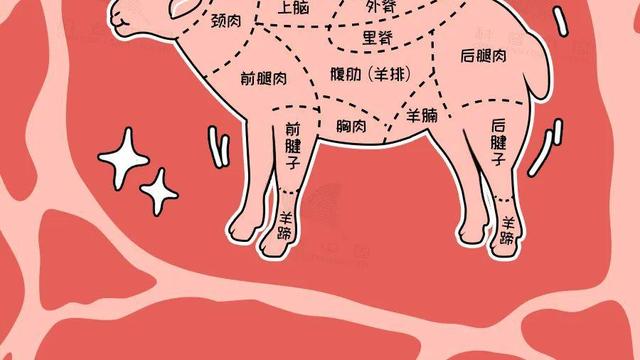 羊的哪些部位吃不得？解答来了→