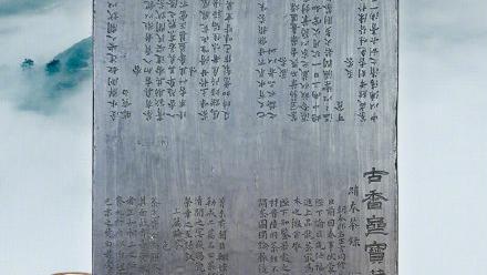 古人写800字保姆级饮茶指南