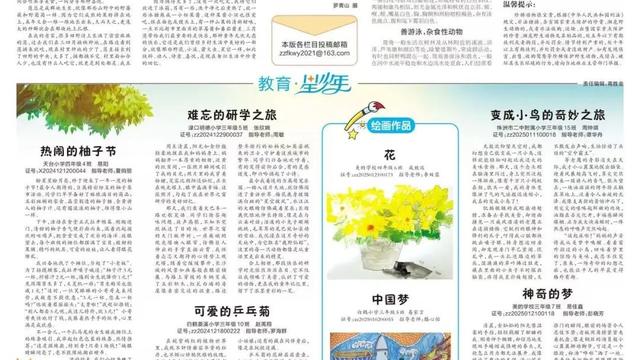 株洲人最喜欢的野果 你一定也吃过！