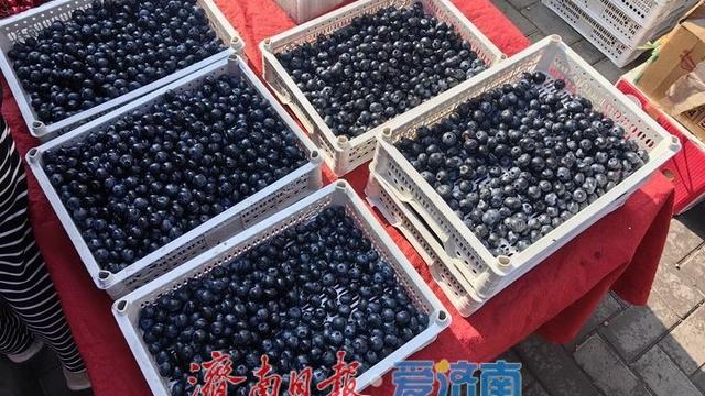 济南“果盘子”香了！时令水果齐走亲民价