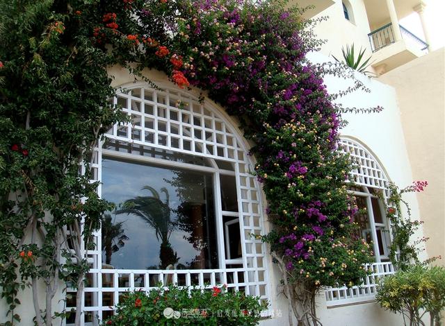 2020布艺沙发十大品牌推荐，2020布艺沙发十大品牌推荐及价格（时光流转卡萨布兰卡）