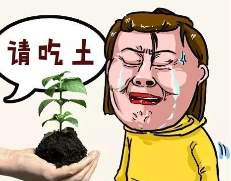 吃土是什么意思，吃观音土是什么意思（以前吃的观音土是什么）